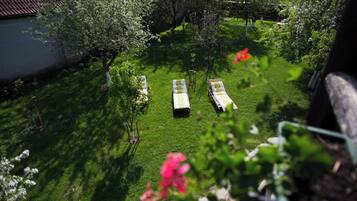 Un jardin avec une pelouse, un petit étang et un kiosque.