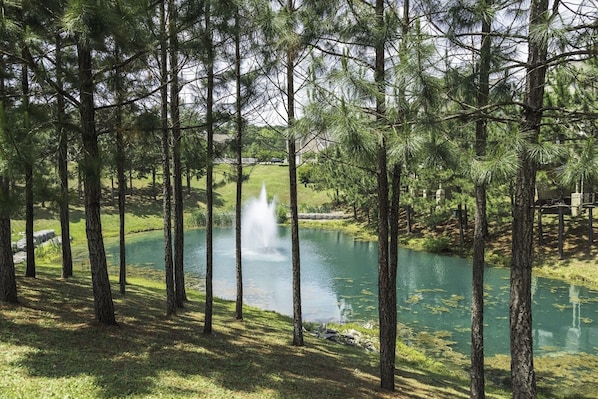 المنطقة المحيطة بالمنشأة