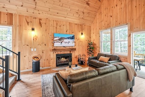 Smart TV, fireplace, books, music library