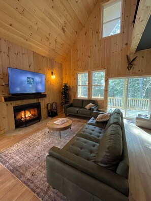 Smart-TV, Kamin, Bücher, Musikbibliothek