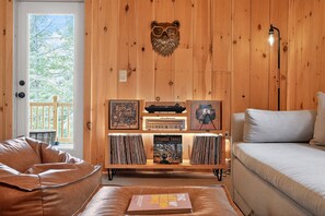 Smart TV, fireplace, books, music library