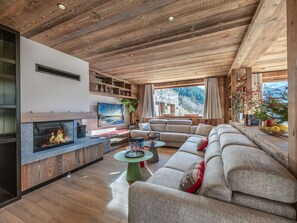 TV, fireplace, books, stereo