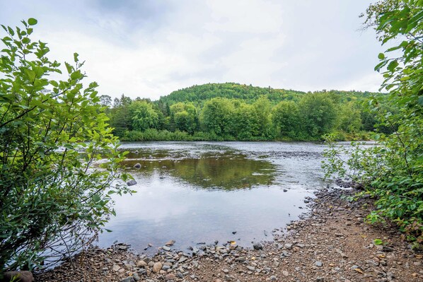 A river with a rocky shore and dense green foliage on both sides.