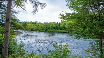 A river surrounded by dense green forest.