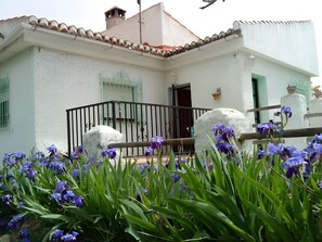 Detalle exterior