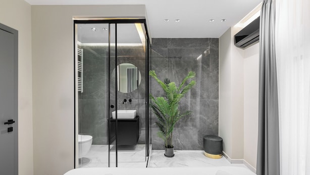 Een moderne badkamer met een douchecabine van glas, een witte wastafel, een spiegel en een potplant.