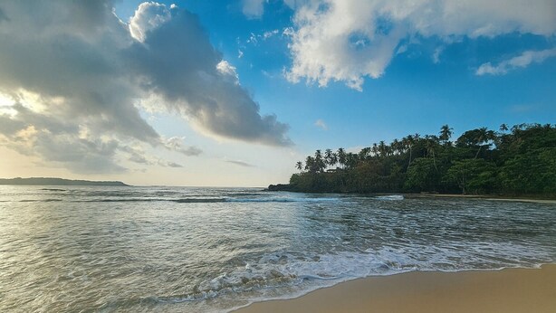 Ein Strand mit Wellen, blauem Himmel und bewaldeter Küstenlinie im Hintergrund.
