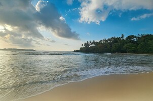 Uma praia com ondas, céu limpo e área arborizada ao fundo.