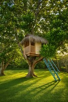 A treehouse with a thatched roof and wooden railing, accessible by a blue ladder.