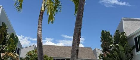 Ulkouima-allas, lämmitetty uima-allas