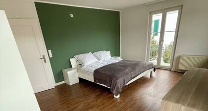 Urban villa with sunny garden