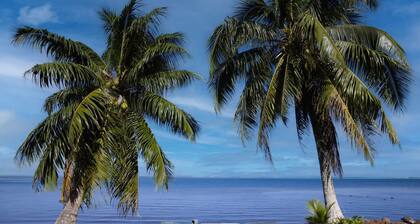 Fare Hani in Moorea-maiao