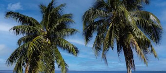 Fare Hani in Moorea-maiao