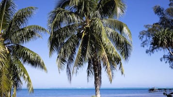 Nhà | 1 phòng ngủ