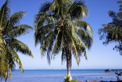 Fare Hani in Moorea-maiao