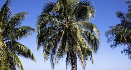 Fare Hani in Moorea-maiao