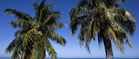 Rumah | 1 kamar tidur