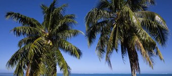 Fare Miri Miri in Moorea-maiao