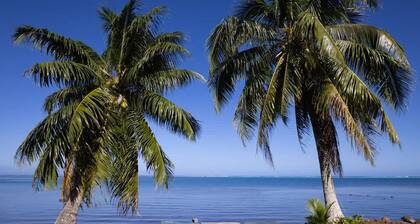 Fare Miri Miri in Moorea-maiao