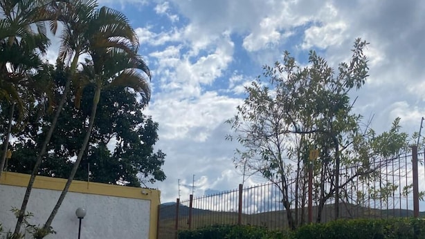 A swimming pool with tiled edges, surrounded by a hedge and palm trees. - Pousada Jardim das Estações (Itatiaia)