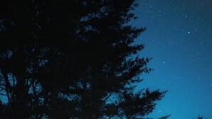 A wooden cabin with a large window, a bed, and a night sky view.