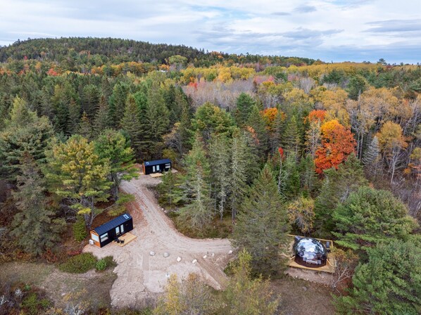 A remote cabin with a dirt path leading to it, surrounded by dense forest and autumn foliage.