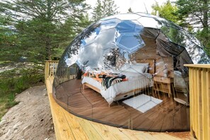 Property grounds - Nova Nook-Mirror Dome with Private Bathroom (Sullivan)