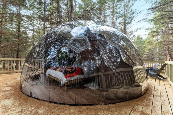 Unclassified image, 1 of 30, button