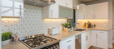 Fridge, microwave, stovetop, dishwasher