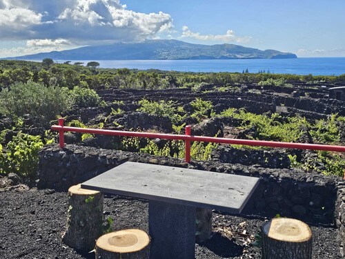 CASA DA ESTRELA SIRIUS