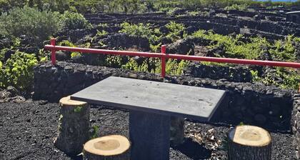 CASA DA ESTRELA SIRIUS