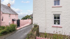 A narrow road flanked by two houses, one pink and one white, with a stone wall and a pink picket fence in the foreground. - Pentwyn (Haverfordwest)