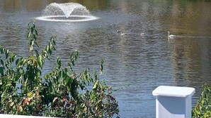 Un immeuble d’appartements moderne, doté de plusieurs étages et de balcons, ainsi qu’un plan d’eau avec une fontaine et quelques espaces verts.
