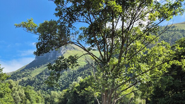Un espace de pique-nique aménagé au bord de la rivière, avec une table et des chaises, entouré d’une végétation luxuriante et offrant une vue sur les montagnes en arrière-plan.