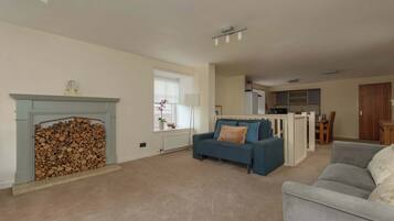 A living room with a fireplace, a blue sofa, a grey sofa, and a kitchen area in the background.