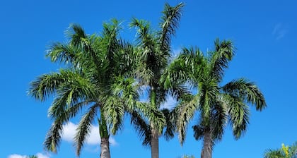 Modern 2 bedroom / 2 bath condo with pool, and free golf in delightful Estero.