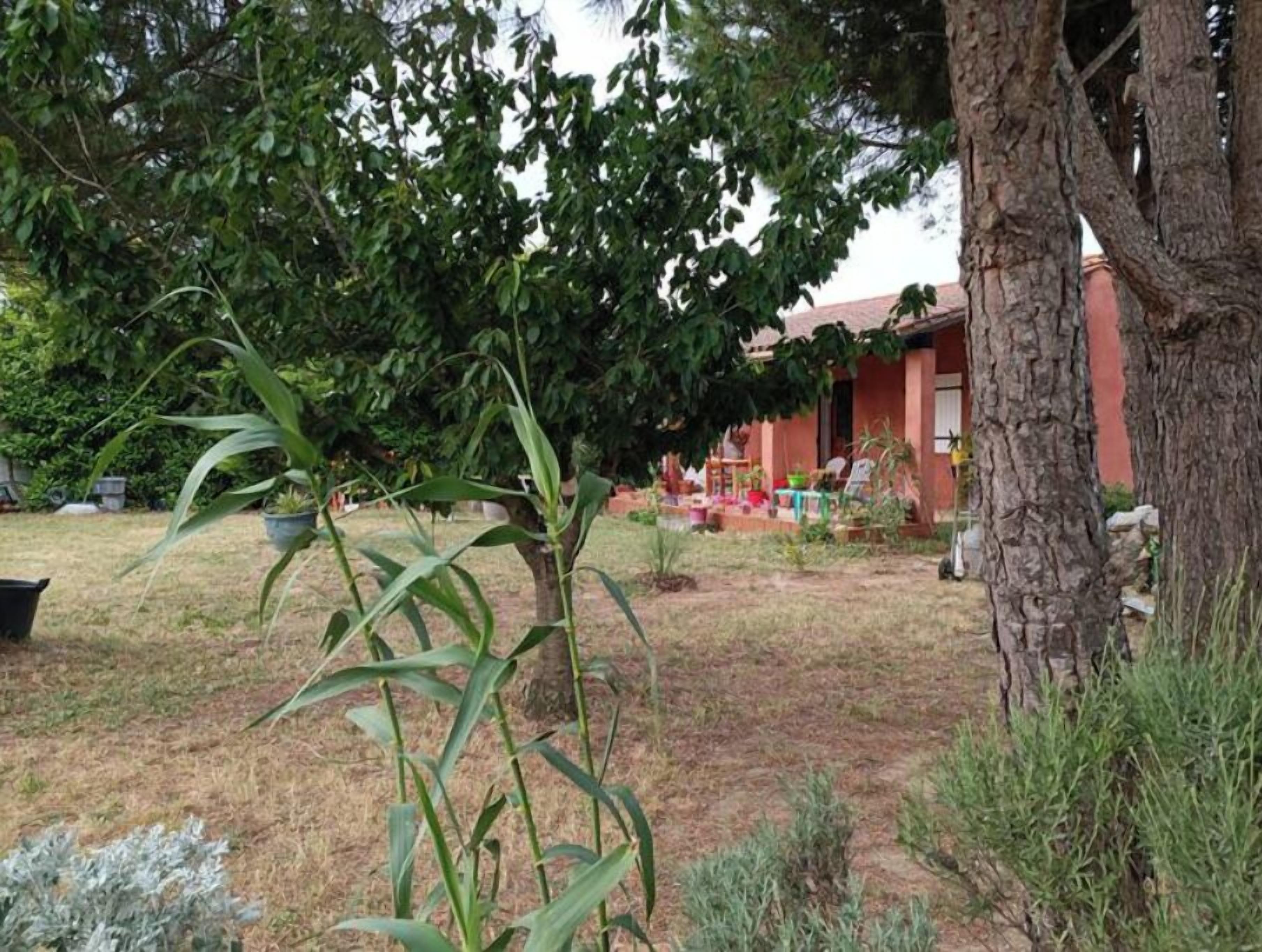 A house with a red roof, surrounded by a garden with various plants and trees.