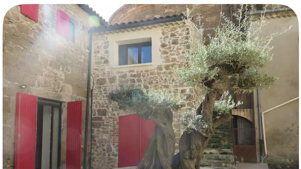 Edifici de pedra amb portes vermelles i un arbre en una jardiniera circular de pedra.