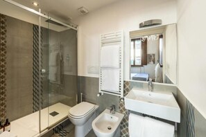 Shower, hair dryer, bidet, towels