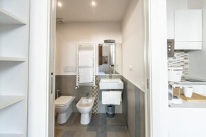 Shower, hair dryer, bidet, towels