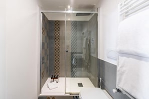 Shower, hair dryer, bidet, towels