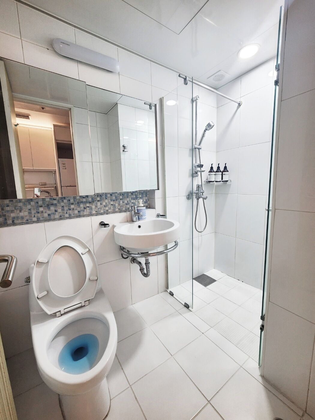 Hair dryer, towels, soap, toilet paper