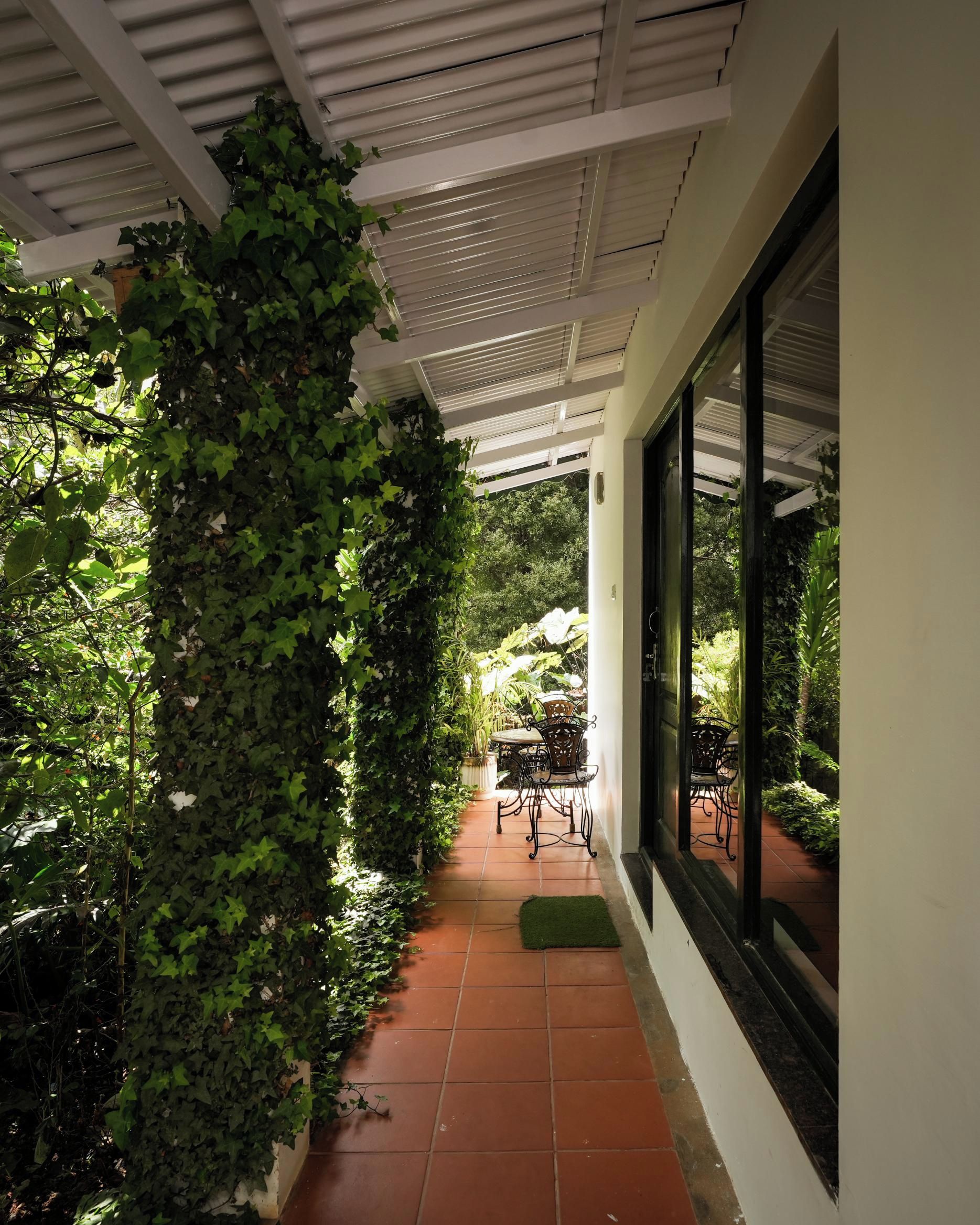 Teras/patio