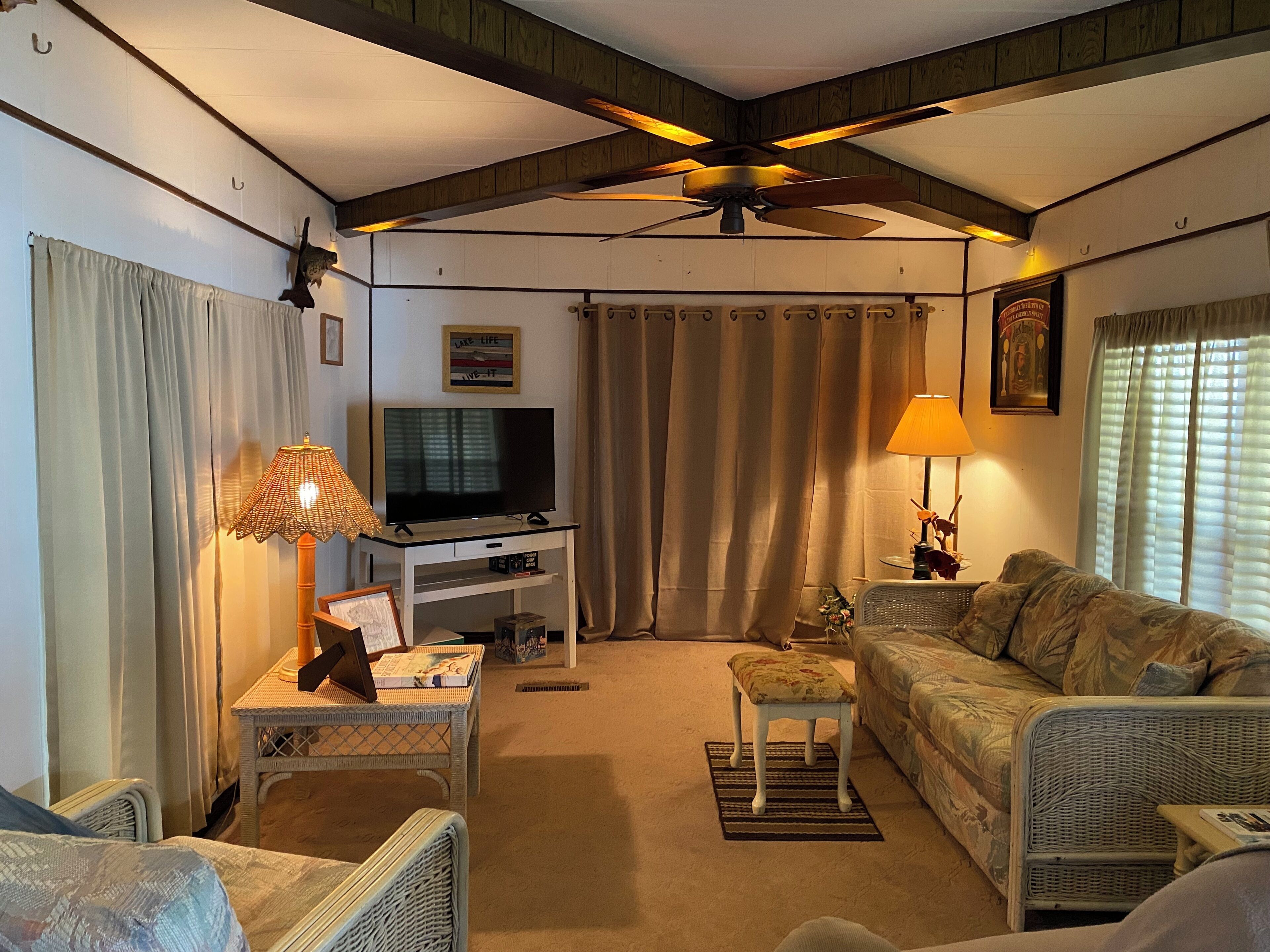 Smart TV, DVD player, books, video library