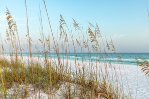Condo, 1 Bedroom | Beach