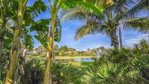 Un jardin luxuriant, avec une variété de plantes tropicales et un étang.