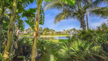 House, 3 Bedrooms | Property grounds