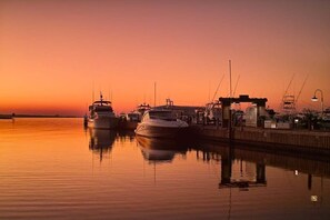 Condo, 1 Bedroom | Marina