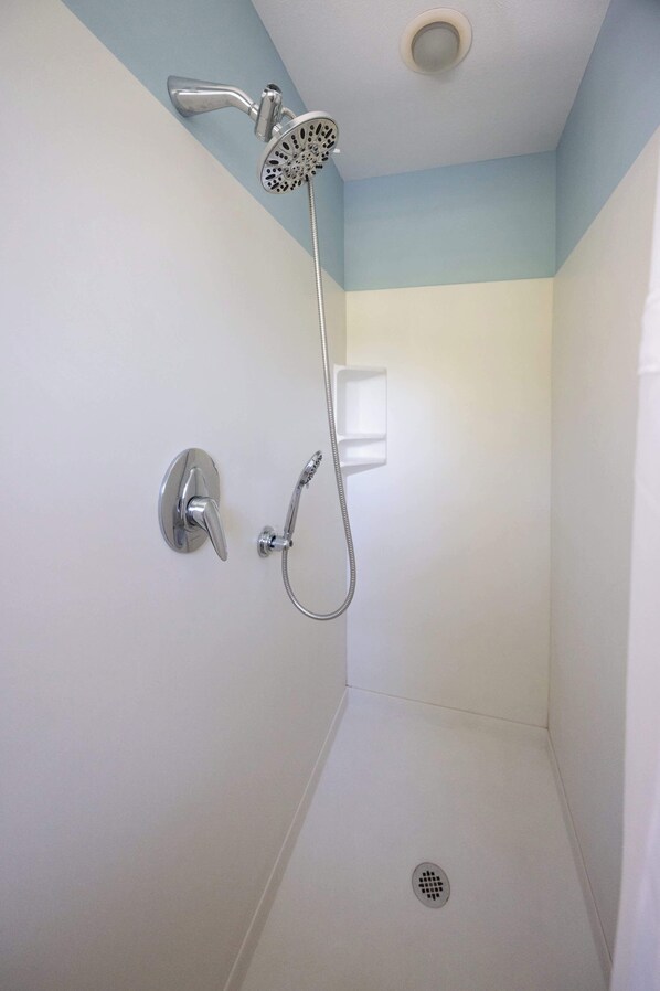 A corner shower with a handheld showerhead and a wall-mounted faucet. - Traverse City Lakefront: Beach, Dock & Hot Tub! (Traverse City)