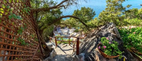 Áreas de la propiedad